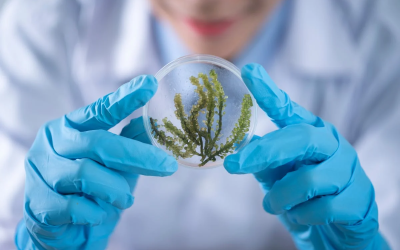 Actualité environnementale 2025 : politique, climat et innovations vertes